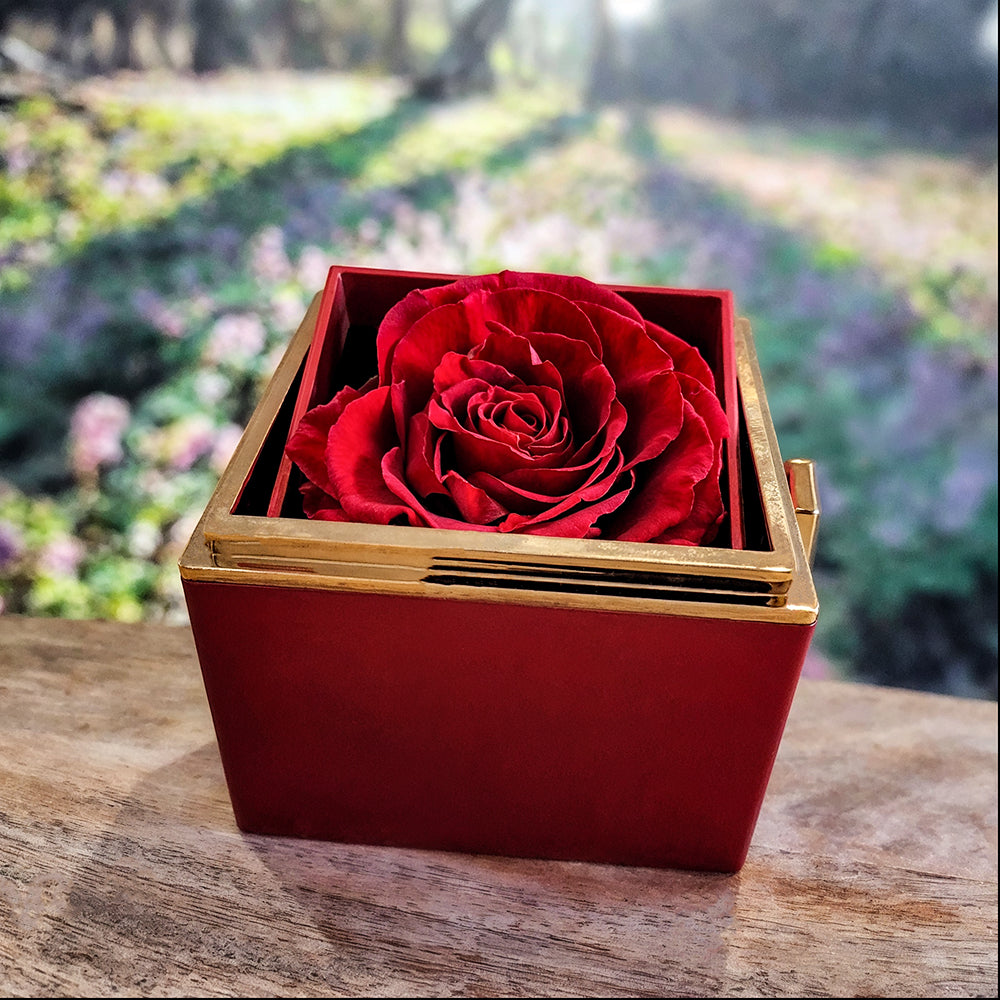 Bellisse Pendant + Rotating Rose Keepsake Box - Endless Devotion