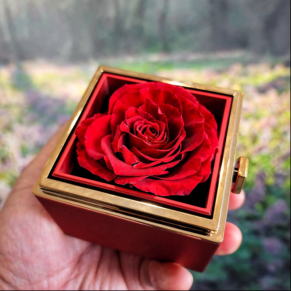 Bellisse Pendant + Rotating Rose Keepsake Box - Eternal Bond