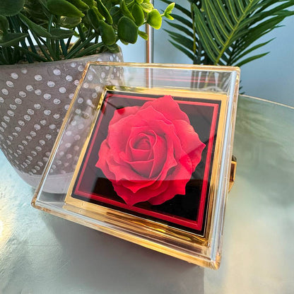 Bellisse Pendant + Rotating Rose Keepsake Box - By Your Side